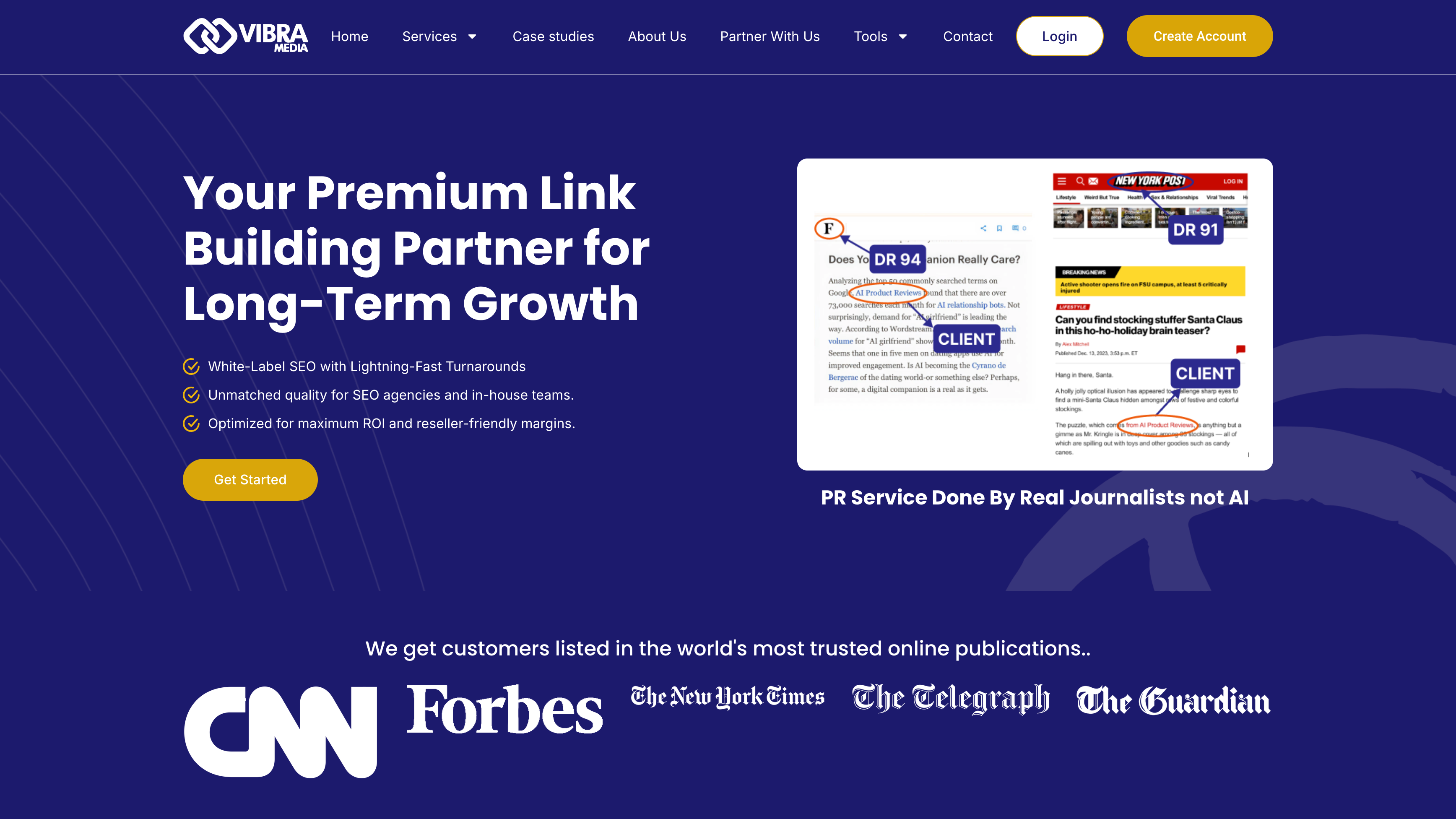 VibraMedia premium link building partner cover